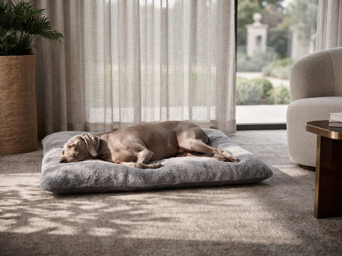 Cama Colchoneta Acolchada de Felpa para Perros Grandes y Medianos (120x60 cm) – Extra Suave y Lavable