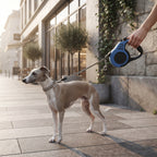 Correa Retráctil para Perros de 3 y 5 Metros - Cinta Flexible y Resistente con Freno de Seguridad