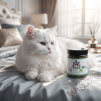 Hierba Gatera Natural en Hojas (Catnip Orgánico 100%) – Estimulante y Relajante para Gatos (Bote 20g)