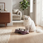 Comedero Doble Elevado para Perros y Gatos – Soporte Ergonómico Geométrico con Cuencos de Acero Inoxidable Extraíbles y Base Antideslizante