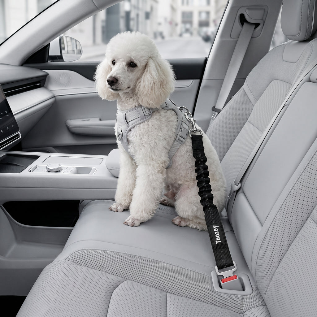 Perro Cinturón De Seguridad, Elástico Ruck Dämp Fung Y Fuerte Mosquetón, Ajustable Perros Correa Alta Seguridad Para Todas Las Razas Perros Y Gatos, Negro