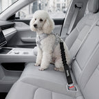 Perro Cinturón De Seguridad, Elástico Ruck Dämp Fung Y Fuerte Mosquetón, Ajustable Perros Correa Alta Seguridad Para Todas Las Razas Perros Y Gatos, Negro
