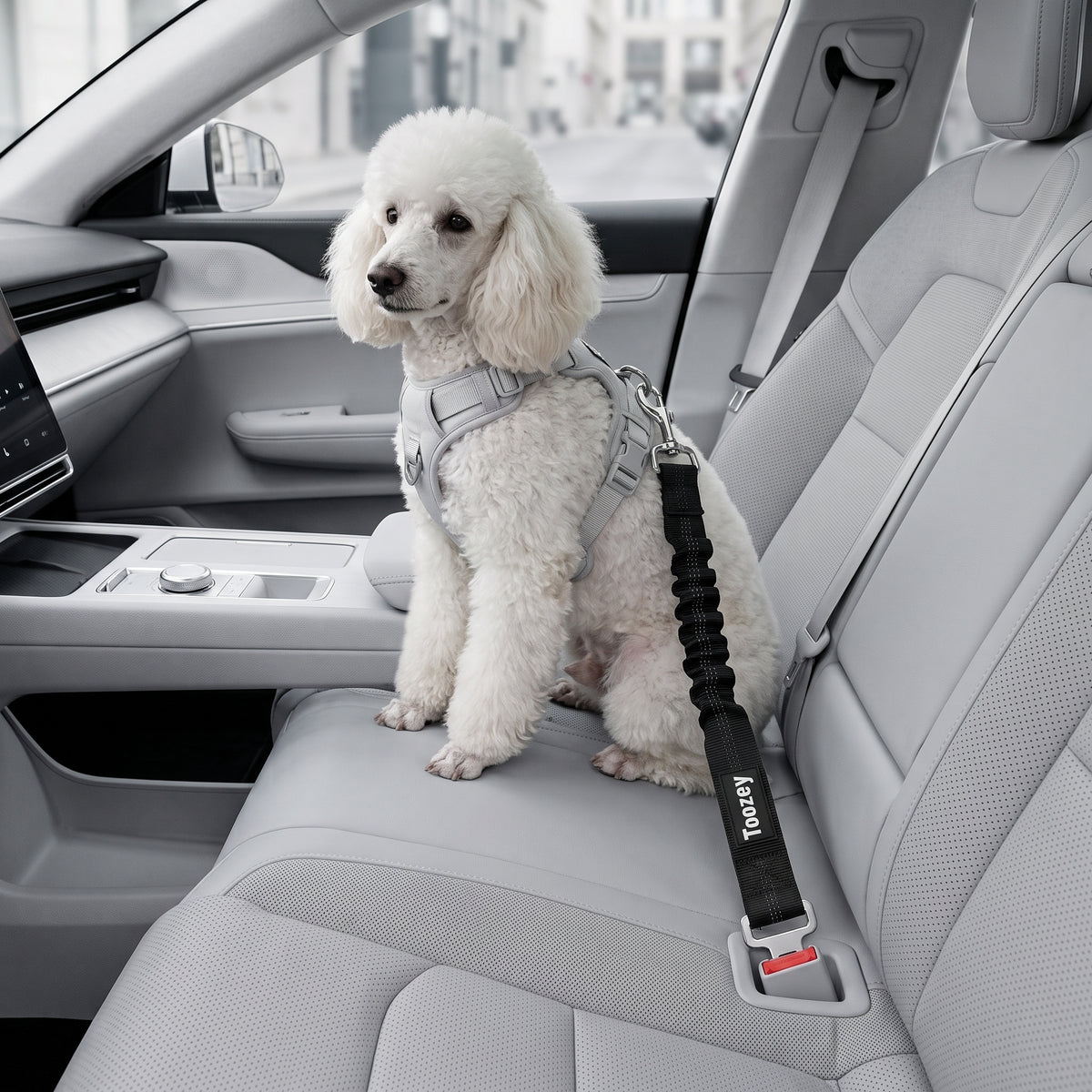 Perro Cinturón De Seguridad, Elástico Ruck Dämp Fung Y Fuerte Mosquetón, Ajustable Perros Correa Alta Seguridad Para Todas Las Razas Perros Y Gatos, Negro