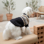 Jersey Vintage de Punto con Cuello Alto para Perros y Gatos