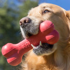 KONG All Series and All Size for Puppy Wobbler Dog Cat Toy of Flyer Tires Durable Natural Rubber Fun to Chew Chase and Fetch