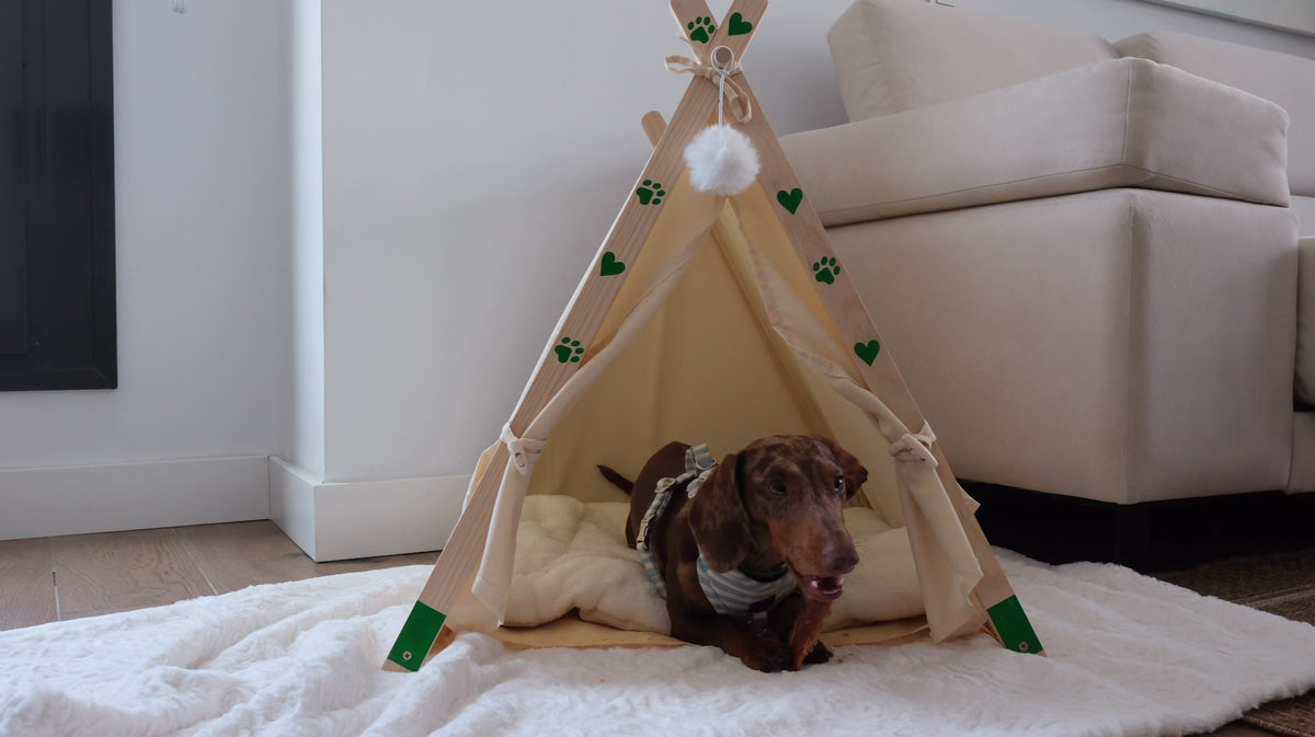 Cama Tipi para Perros Pequeños y Gatos | The Paws Boutique
