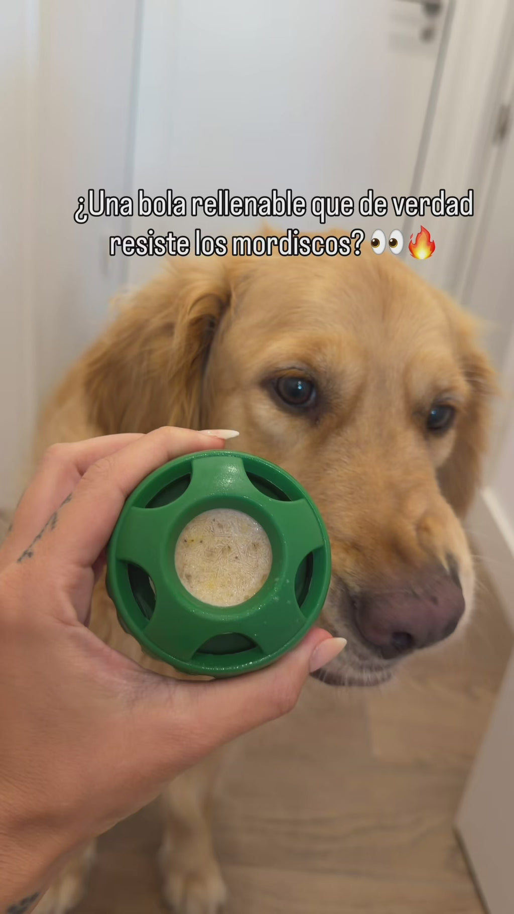 Pelota Rellenable y Congelable para Perros | Caucho Natural