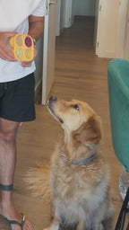 Pelota Rellenable y Congelable para Perros | Caucho Natural